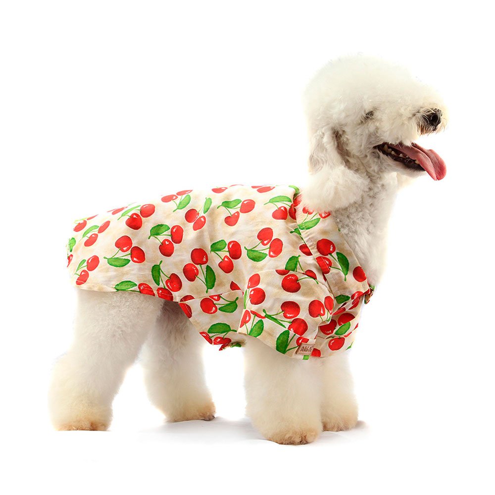 Camisa Fruit Bege Tam 02