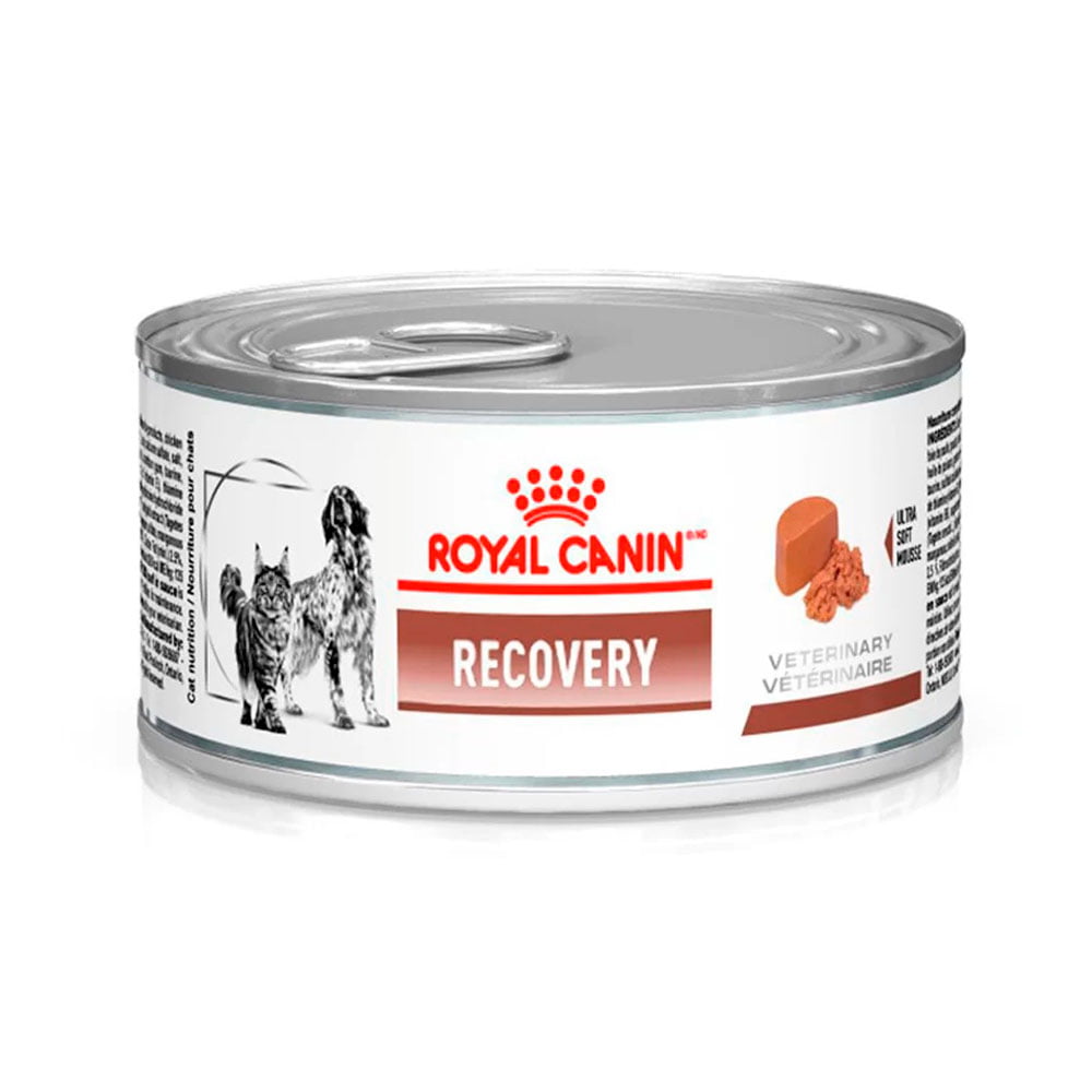 Ração Úmida Royal Canin Veterinary Diet Recovery Wet Para Cães e Gatos 195g