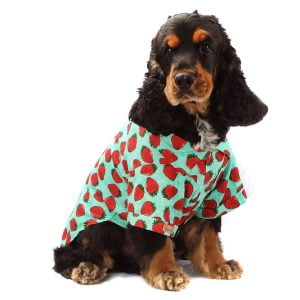 Camisa Fruit Azul Tam 06