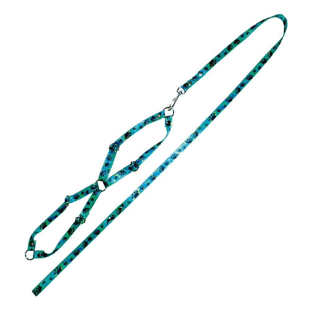 Conjunto Guia Peitoral Seda Nº 1 Cores Variadas