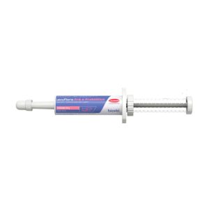 Suplemento Levu Flora Pré e Probiótico Biovet 14g