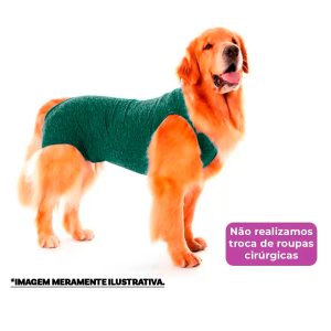 Roupa Pós-Cirúrgica Pet Gaby Suplex Verde - Tam.02