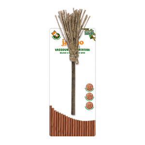 Brinquedo Para Gatos Vassoura Matatabi Jambo Pet