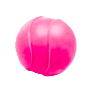 Brinquedo Bola Maciça Lunar Para Cães Pet Injet Cores Sortidas 50mm