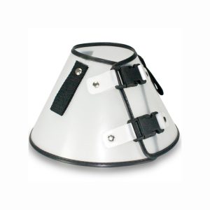 Colar Elizabetano Para Gatos AMF Pet Tamanho Único